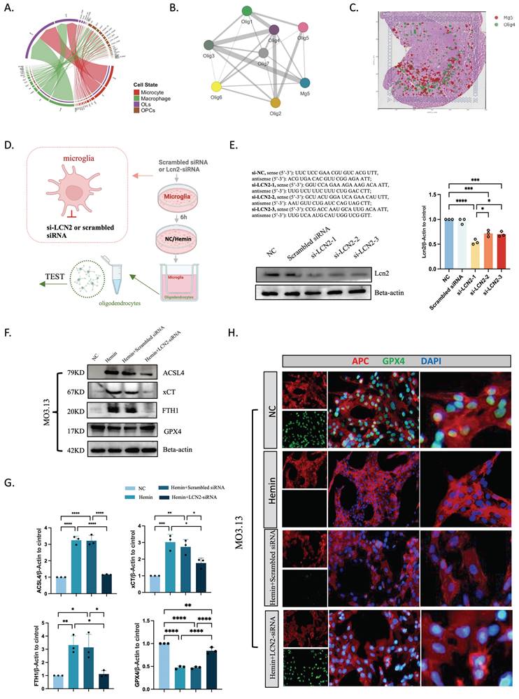 Int J Biol Sci Image