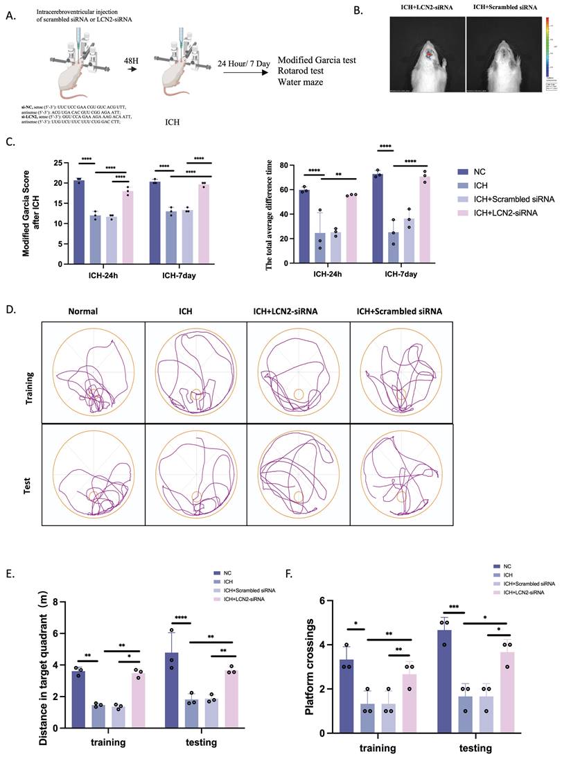 Int J Biol Sci Image