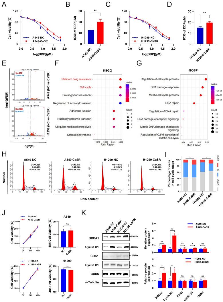 Int J Biol Sci Image