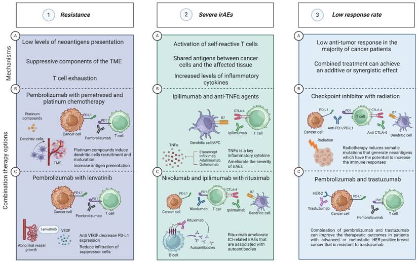 Int J Biol Sci Image