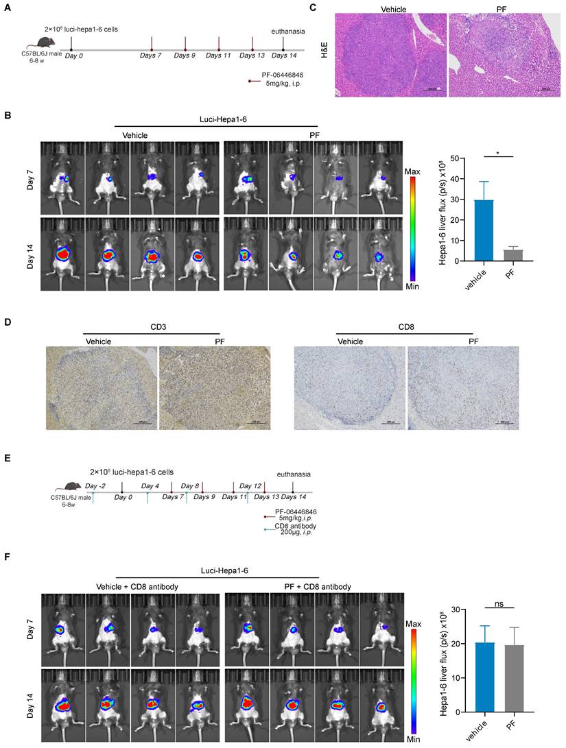 Int J Biol Sci Image