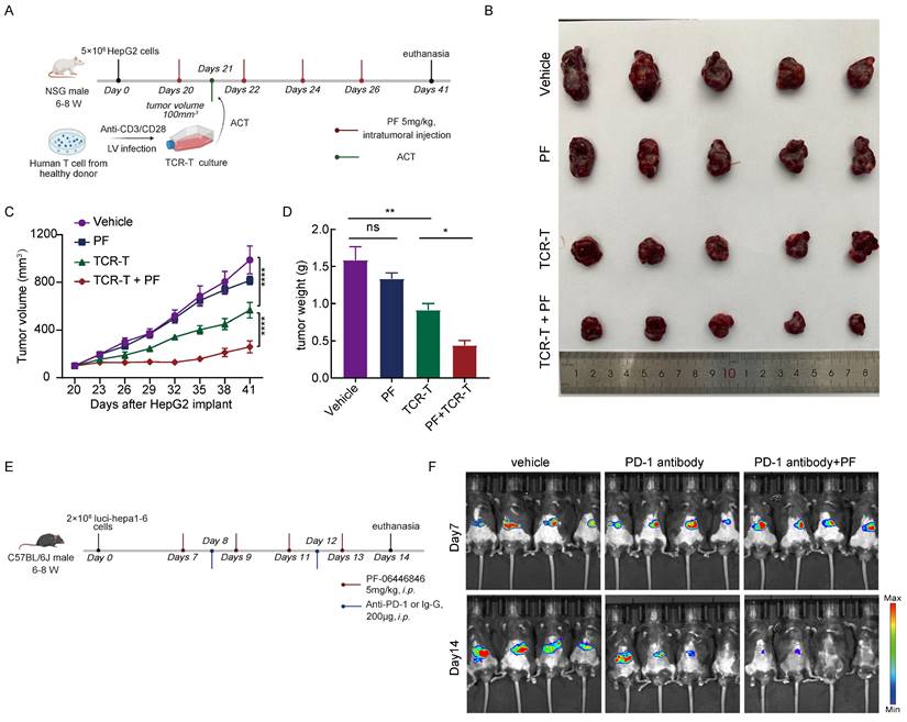 Int J Biol Sci Image