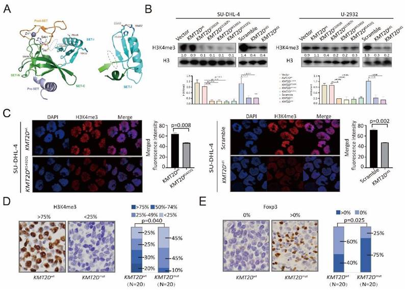 Int J Biol Sci Image