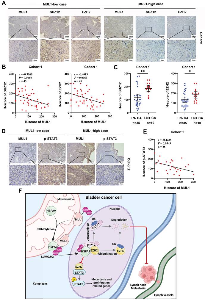 Int J Biol Sci Image
