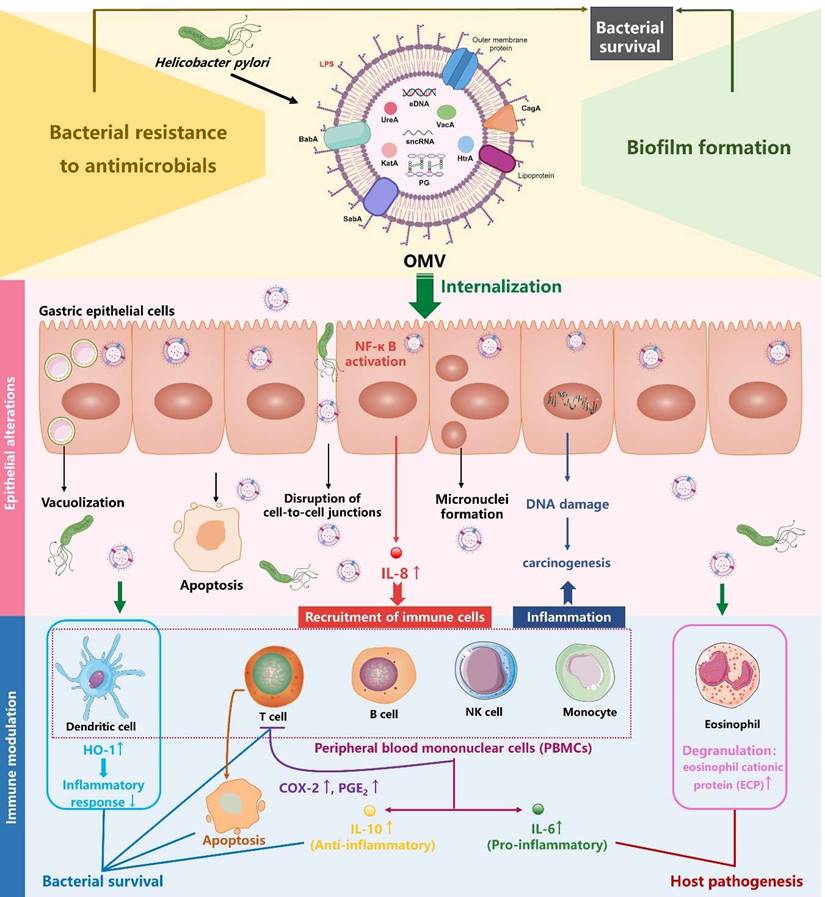 Int J Biol Sci Image