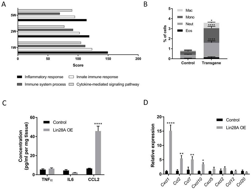 Int J Biol Sci Image