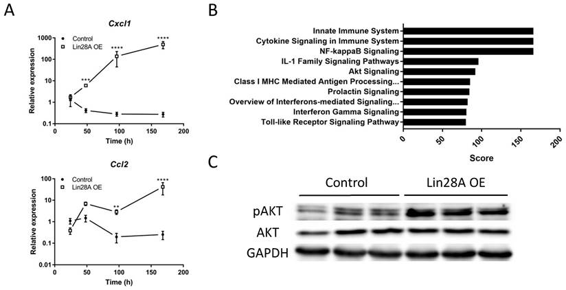 Int J Biol Sci Image