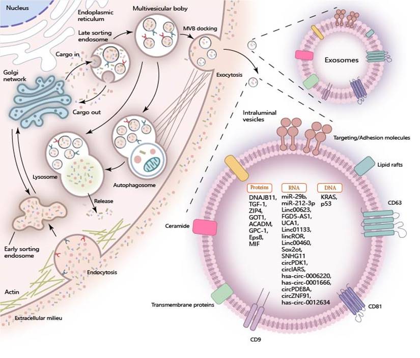 Int J Biol Sci Image