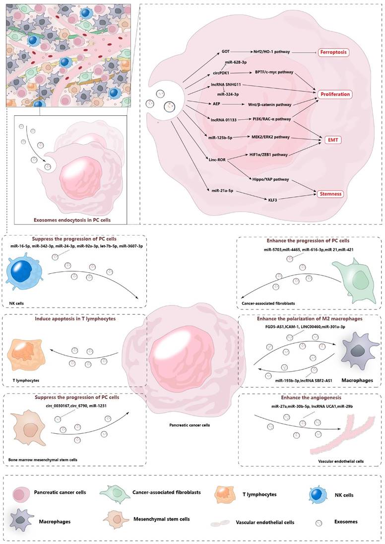 Int J Biol Sci Image