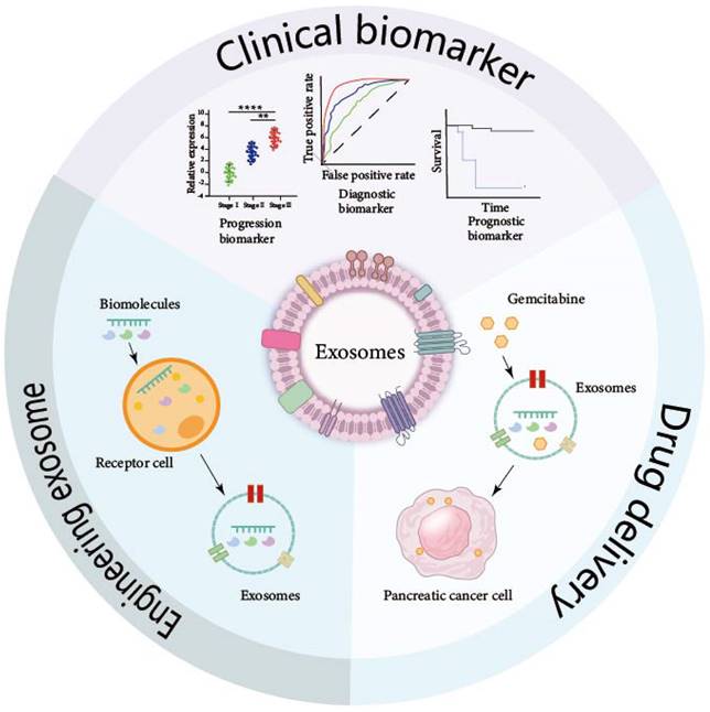 Int J Biol Sci Image