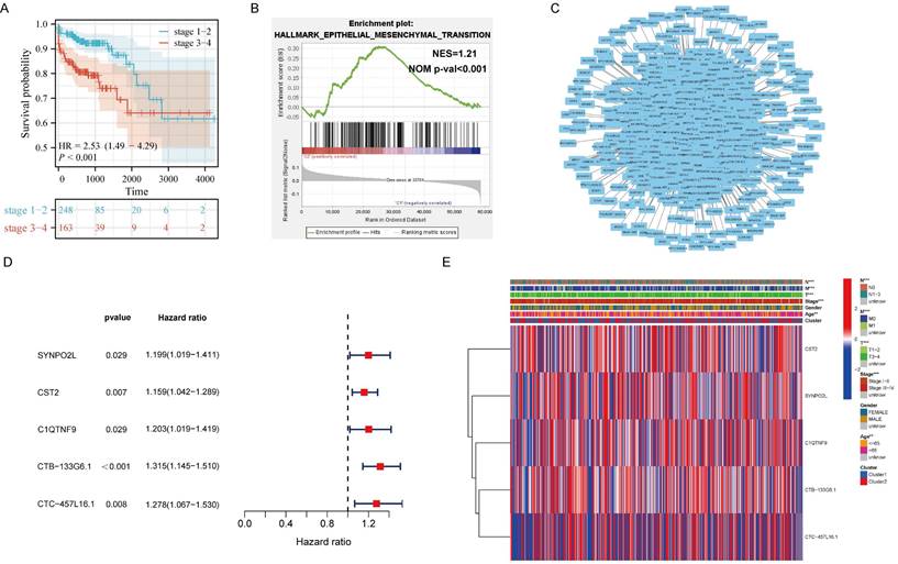 Int J Biol Sci Image