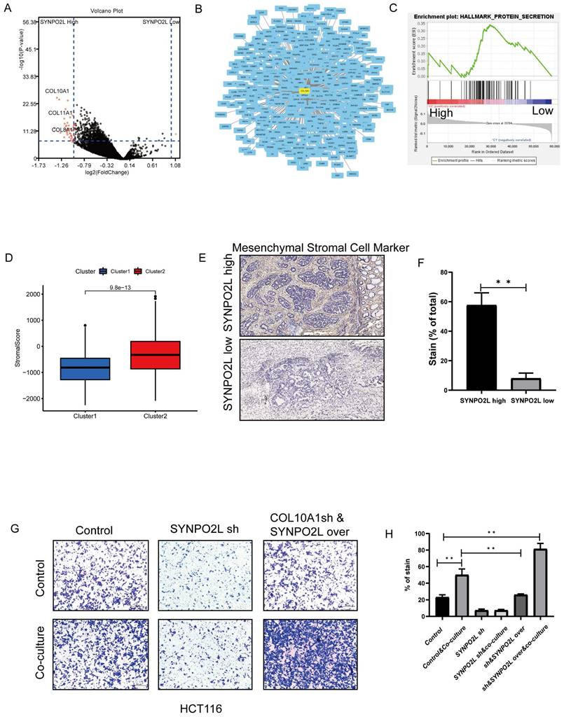 Int J Biol Sci Image