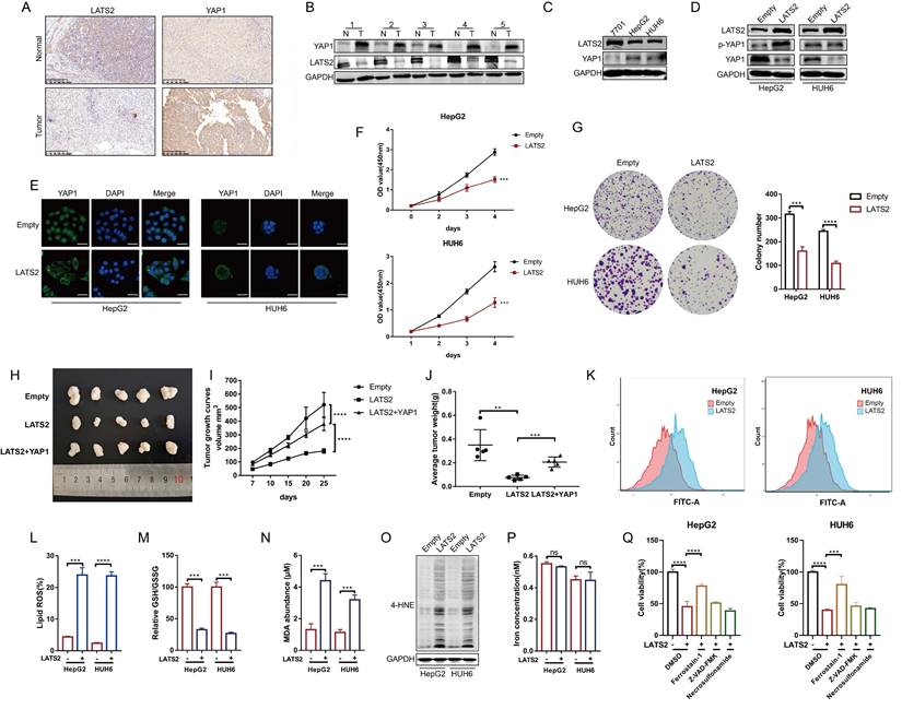 Int J Biol Sci Image