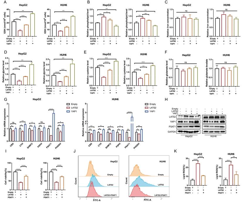 Int J Biol Sci Image