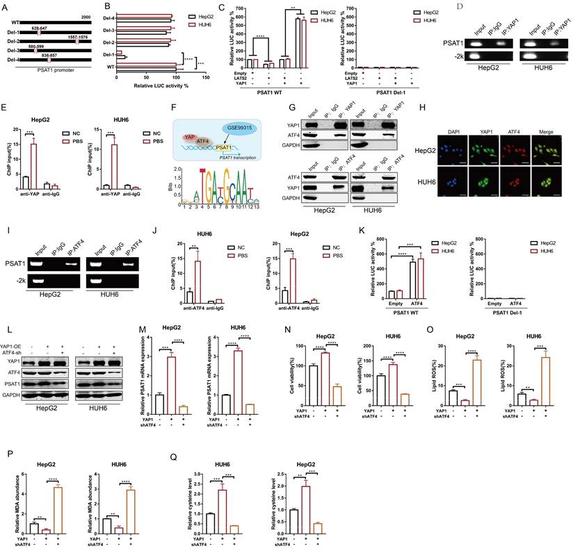 Int J Biol Sci Image