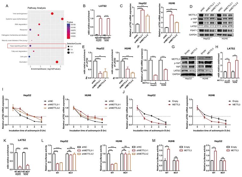 Int J Biol Sci Image