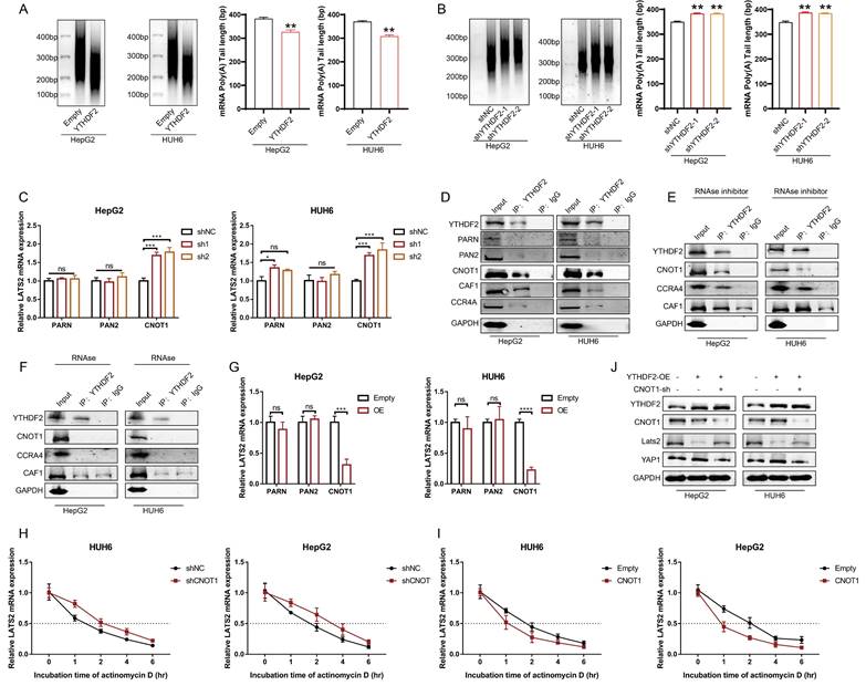 Int J Biol Sci Image