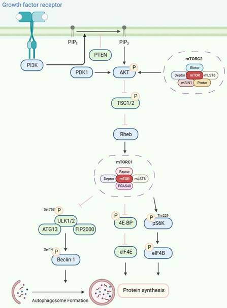 Int J Biol Sci Image