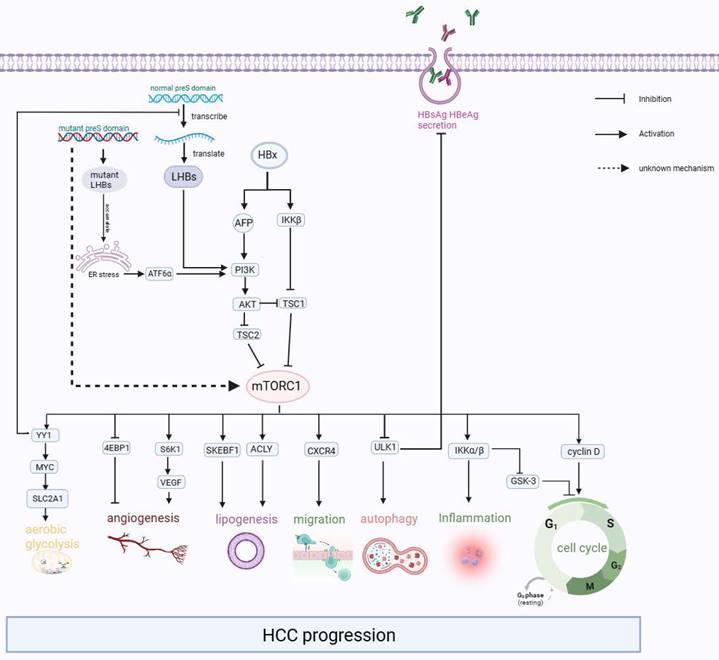 Int J Biol Sci Image