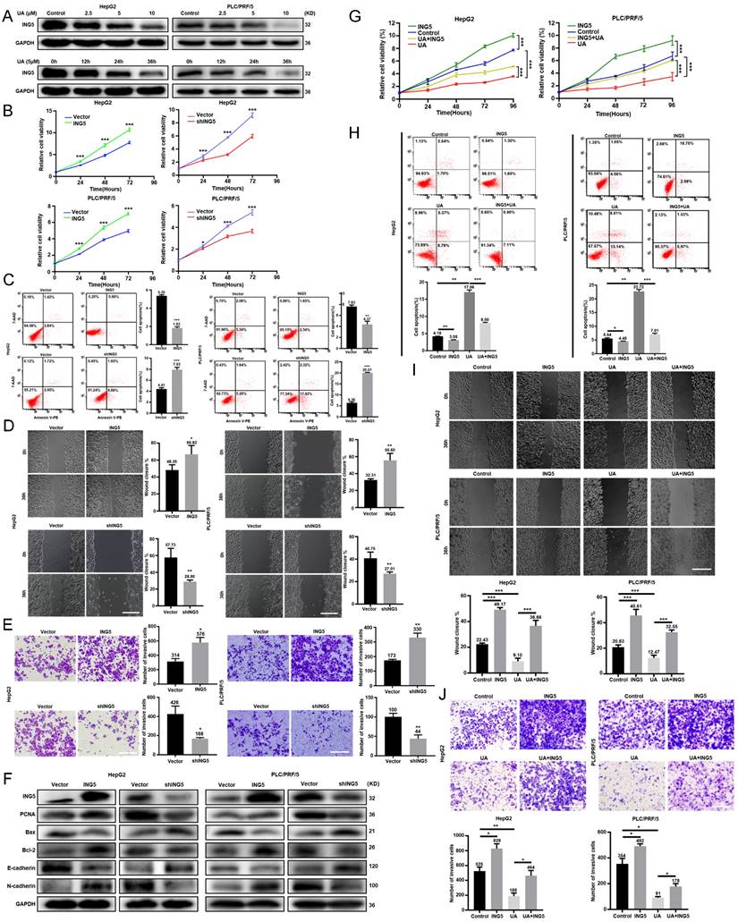 Int J Biol Sci Image