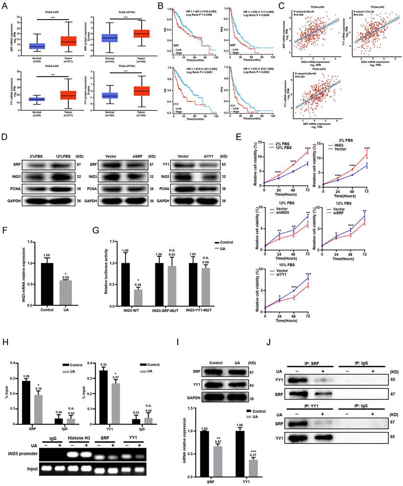 Int J Biol Sci Image