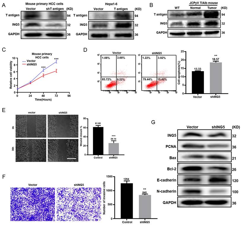 Int J Biol Sci Image