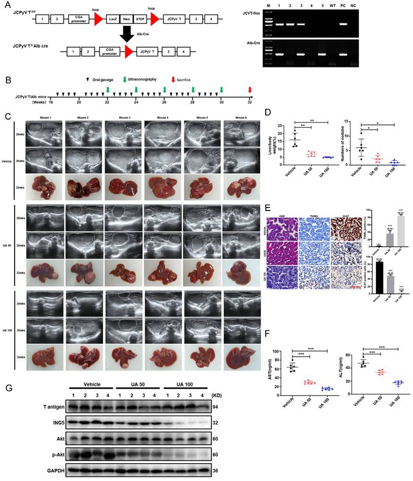 Int J Biol Sci Image