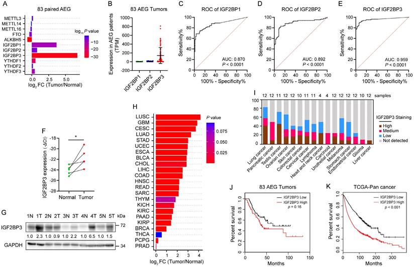 Int J Biol Sci Image