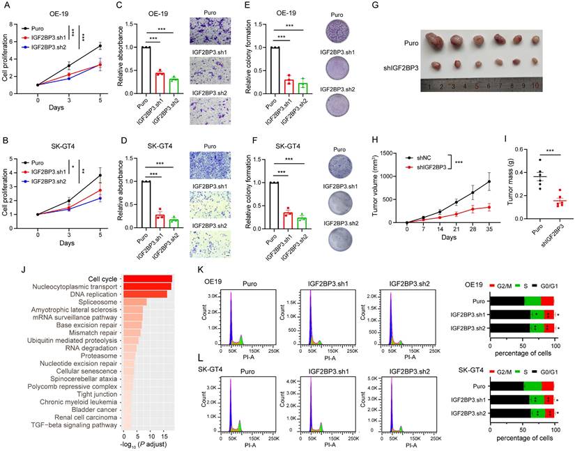 Int J Biol Sci Image