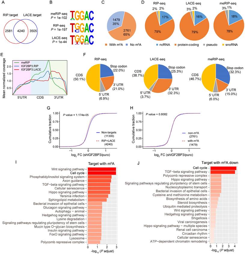 Int J Biol Sci Image