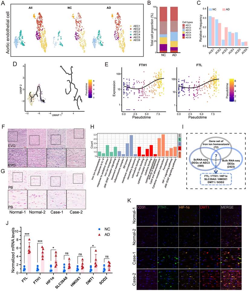 Int J Biol Sci Image