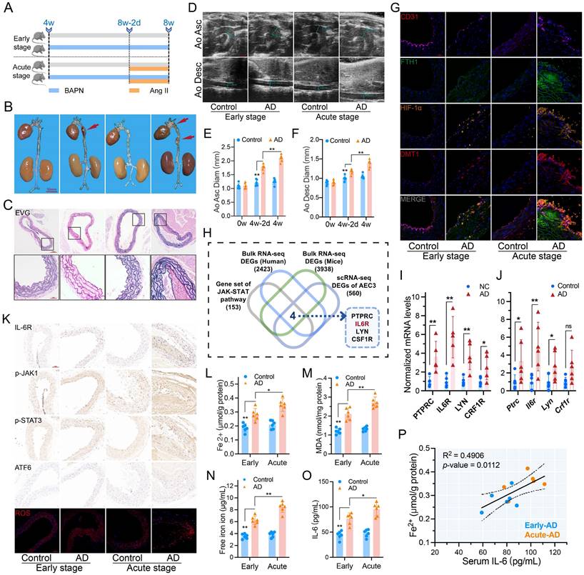 Int J Biol Sci Image