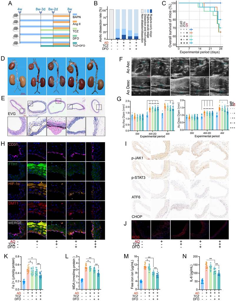 Int J Biol Sci Image