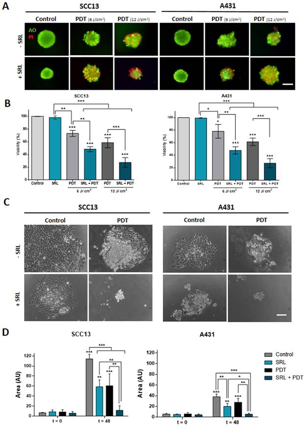 Int J Biol Sci Image