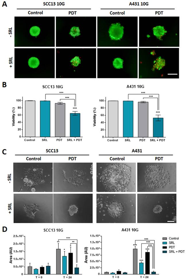 Int J Biol Sci Image