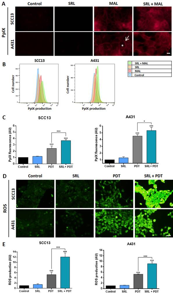 Int J Biol Sci Image