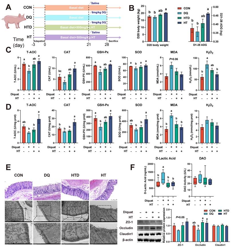 Int J Biol Sci Image