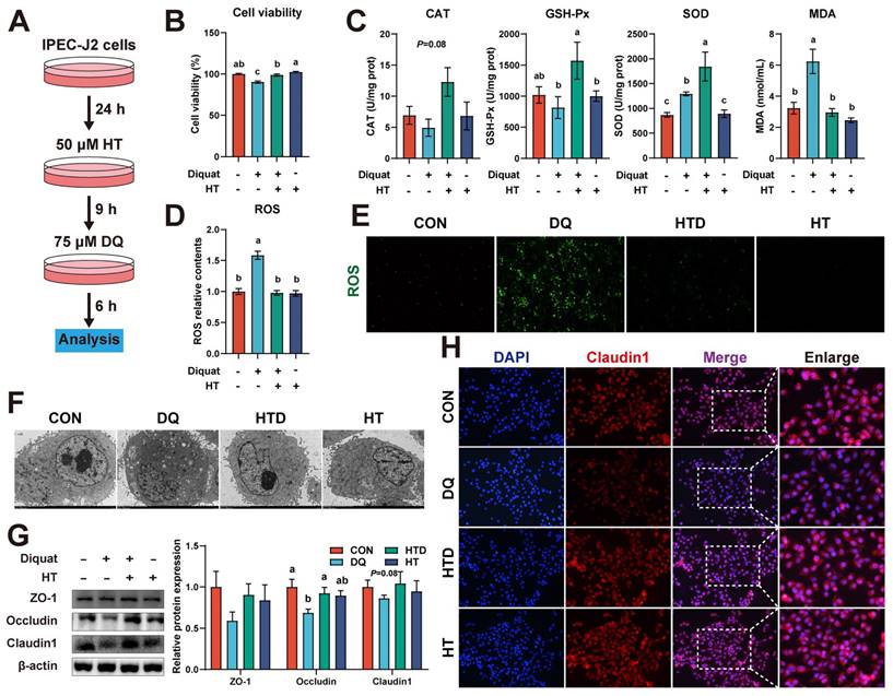 Int J Biol Sci Image