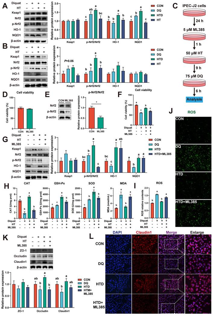 Int J Biol Sci Image