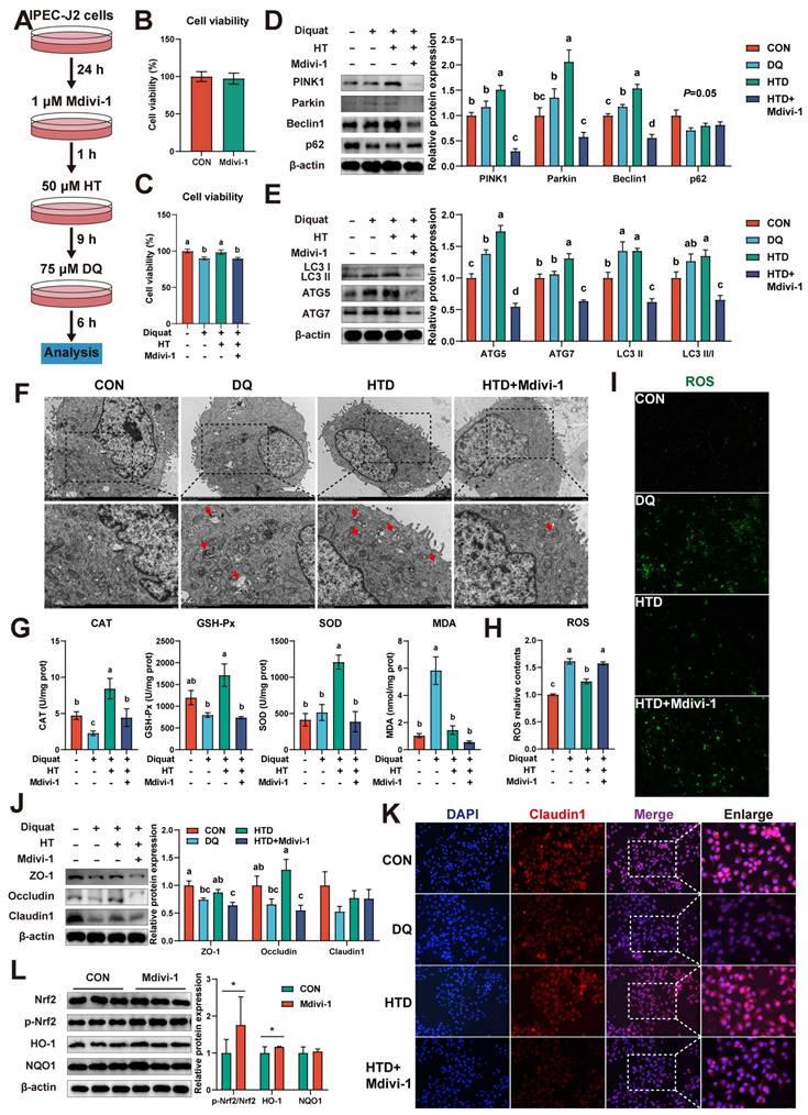 Int J Biol Sci Image