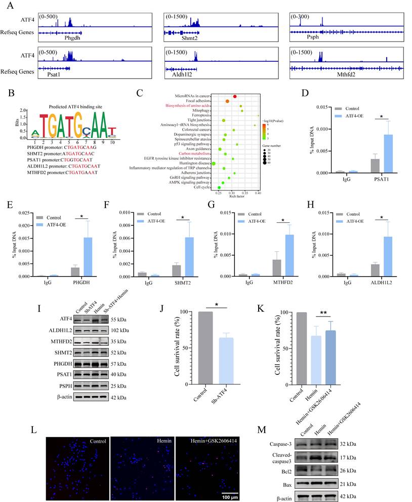 Int J Biol Sci Image