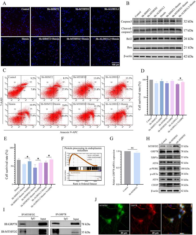 Int J Biol Sci Image