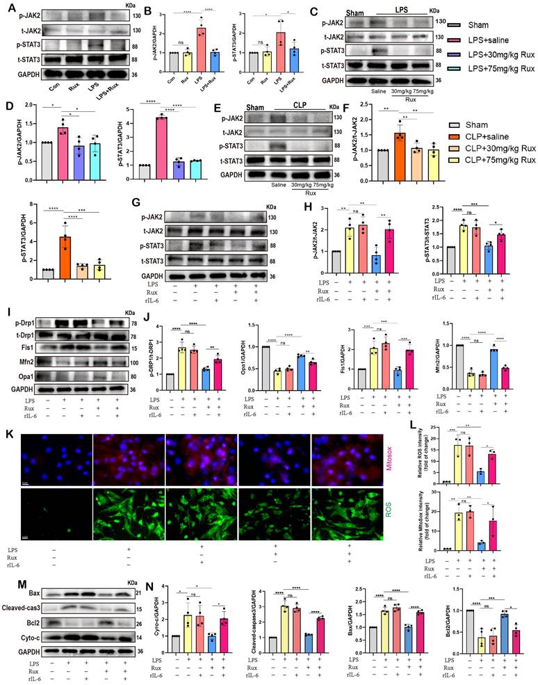 Int J Biol Sci Image