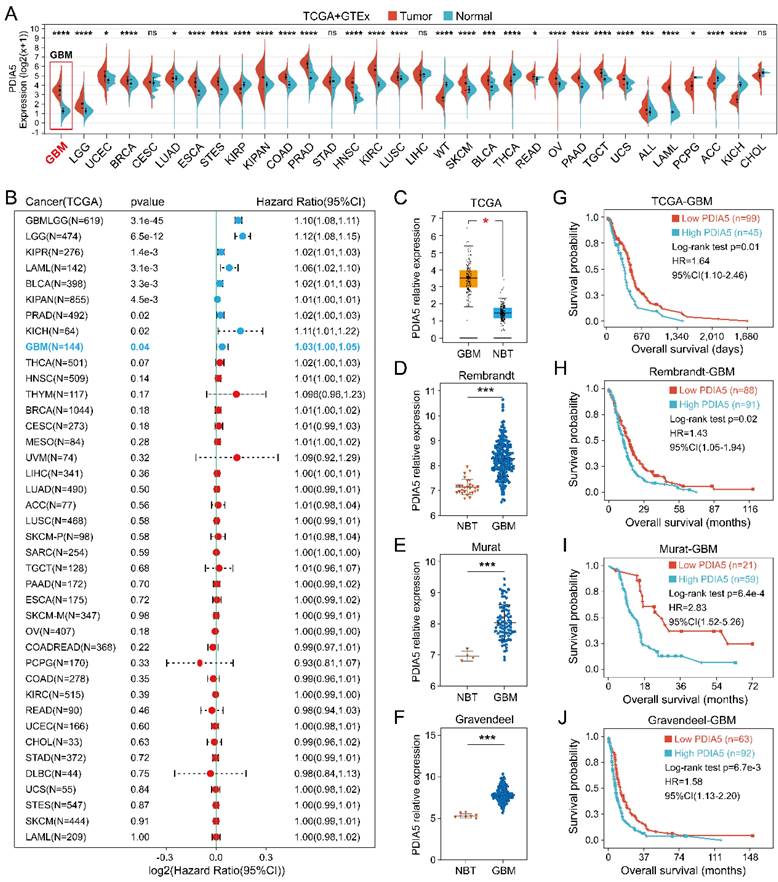 Int J Biol Sci Image