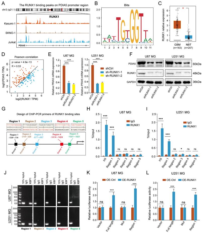 Int J Biol Sci Image