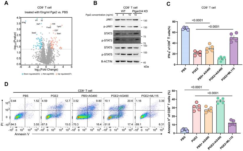 Int J Biol Sci Image