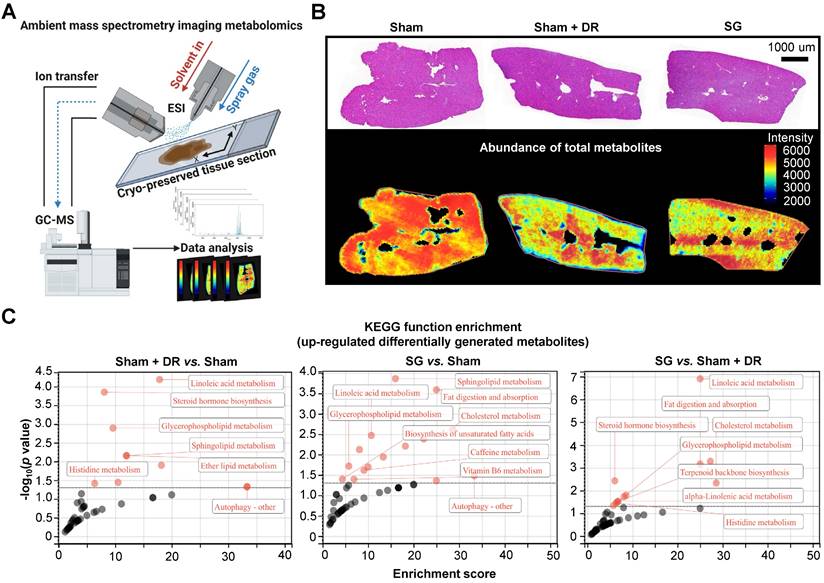 Int J Biol Sci Image