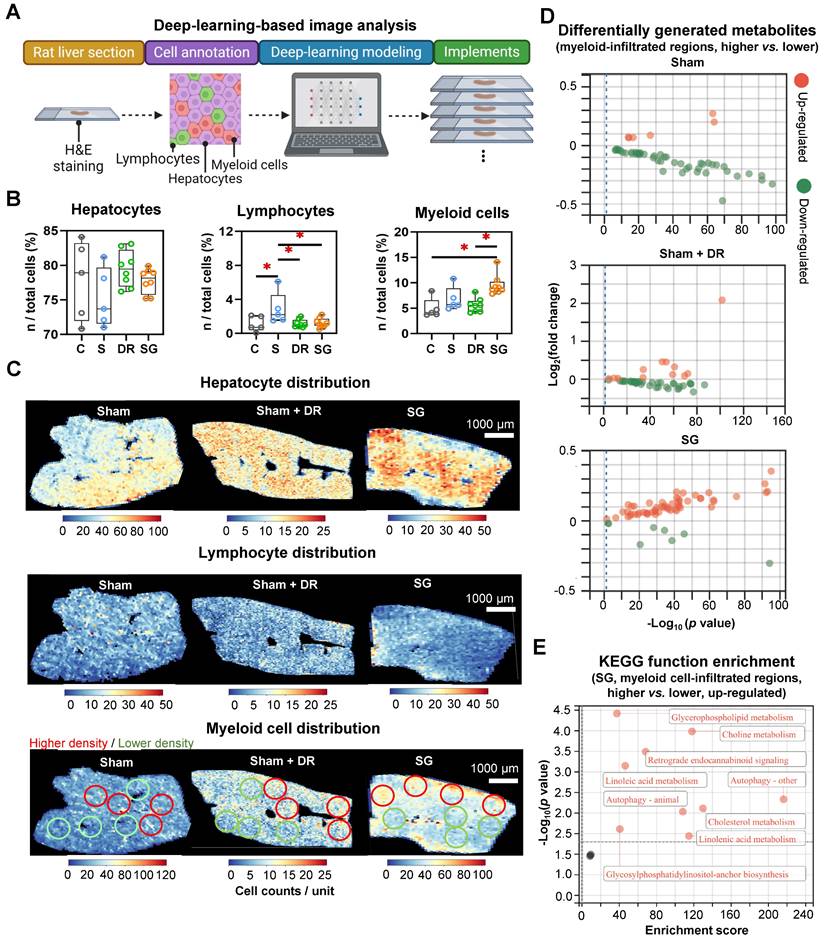 Int J Biol Sci Image