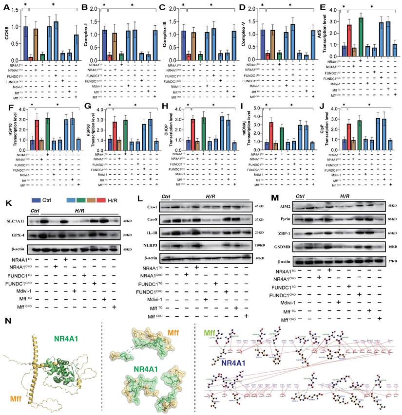 Int J Biol Sci Image