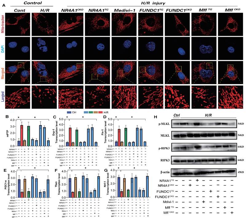 Int J Biol Sci Image